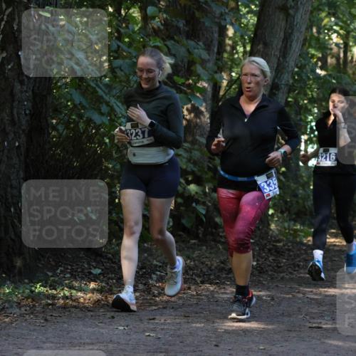 28.09.2025 - 33. Volkslauf durch das schöne Alstertal Strokosch-Dieckow http://msf.ph/oto/8969650 28.09.2025 11:32:51 Laufen 3237, 335, 3216, 5, 0, 1 meine-sportfotos.de