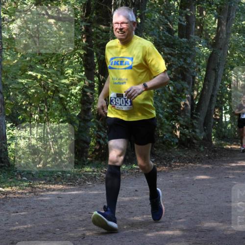 28.09.2025 - 33. Volkslauf durch das schöne Alstertal Strokosch-Dieckow http://msf.ph/oto/8969655 28.09.2025 11:32:57 Laufen 3903 meine-sportfotos.de