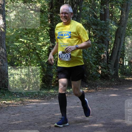 28.09.2025 - 33. Volkslauf durch das schöne Alstertal Strokosch-Dieckow http://msf.ph/oto/8969656 28.09.2025 11:32:57 Laufen 3903 meine-sportfotos.de