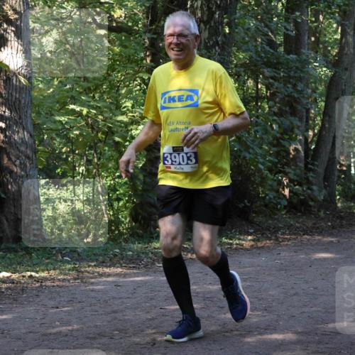 28.09.2025 - 33. Volkslauf durch das schöne Alstertal Strokosch-Dieckow http://msf.ph/oto/8969657 28.09.2025 11:32:57 Laufen 3903 meine-sportfotos.de