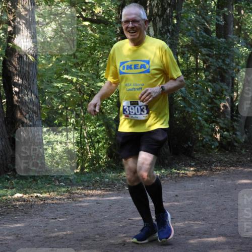 28.09.2025 - 33. Volkslauf durch das schöne Alstertal Strokosch-Dieckow http://msf.ph/oto/8969658 28.09.2025 11:32:57 Laufen 3903 meine-sportfotos.de