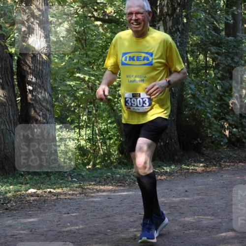 28.09.2025 - 33. Volkslauf durch das schöne Alstertal Strokosch-Dieckow http://msf.ph/oto/8969659 28.09.2025 11:32:57 Laufen 3903 meine-sportfotos.de