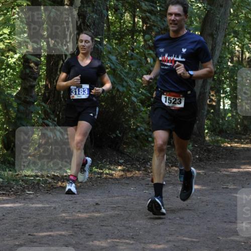 28.09.2025 - 33. Volkslauf durch das schöne Alstertal Strokosch-Dieckow http://msf.ph/oto/8969662 28.09.2025 11:33:02 Laufen 3183, 1523, 007 meine-sportfotos.de