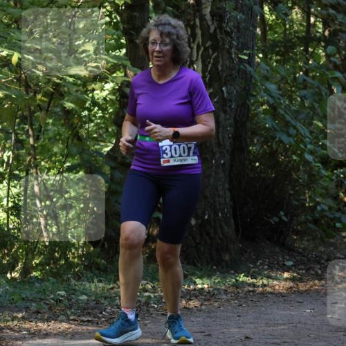 28.09.2025 - 33. Volkslauf durch das schöne Alstertal Strokosch-Dieckow http://msf.ph/oto/8969668 28.09.2025 11:33:07 Laufen 3007 meine-sportfotos.de