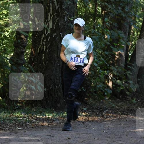 28.09.2025 - 33. Volkslauf durch das schöne Alstertal Strokosch-Dieckow http://msf.ph/oto/8969671 28.09.2025 11:33:11 Laufen 3191, 3193 meine-sportfotos.de
