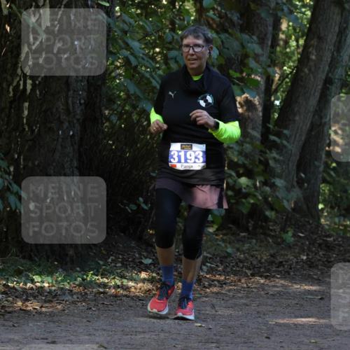 28.09.2025 - 33. Volkslauf durch das schöne Alstertal Strokosch-Dieckow http://msf.ph/oto/8969674 28.09.2025 11:33:14 Laufen 3193 meine-sportfotos.de