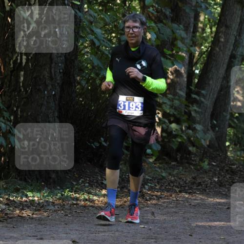 28.09.2025 - 33. Volkslauf durch das schöne Alstertal Strokosch-Dieckow http://msf.ph/oto/8969675 28.09.2025 11:33:14 Laufen 3193 meine-sportfotos.de