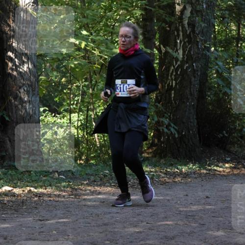 28.09.2025 - 33. Volkslauf durch das schöne Alstertal Strokosch-Dieckow http://msf.ph/oto/8969681 28.09.2025 11:33:35 Laufen 310 meine-sportfotos.de