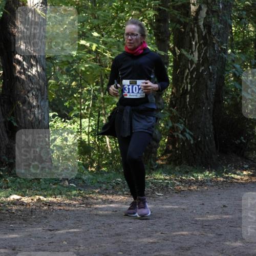 28.09.2025 - 33. Volkslauf durch das schöne Alstertal Strokosch-Dieckow http://msf.ph/oto/8969682 28.09.2025 11:33:35 Laufen 3102 meine-sportfotos.de