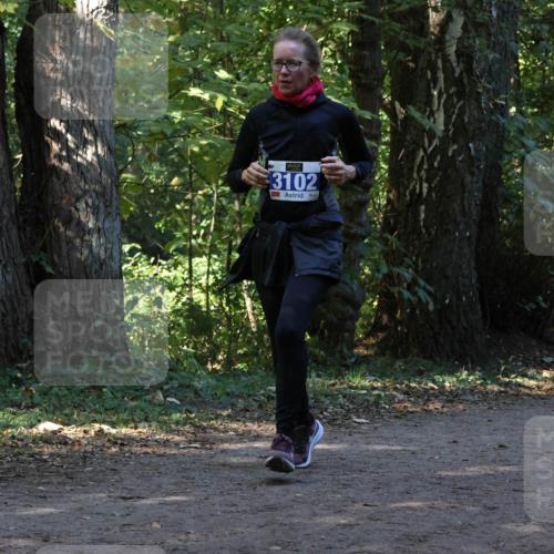 28.09.2025 - 33. Volkslauf durch das schöne Alstertal Strokosch-Dieckow http://msf.ph/oto/8969683 28.09.2025 11:33:35 Laufen 3102 meine-sportfotos.de