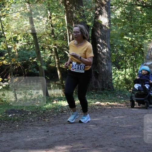 28.09.2025 - 33. Volkslauf durch das schöne Alstertal Strokosch-Dieckow http://msf.ph/oto/8969686 28.09.2025 11:33:46 Laufen 3410, 3119 meine-sportfotos.de