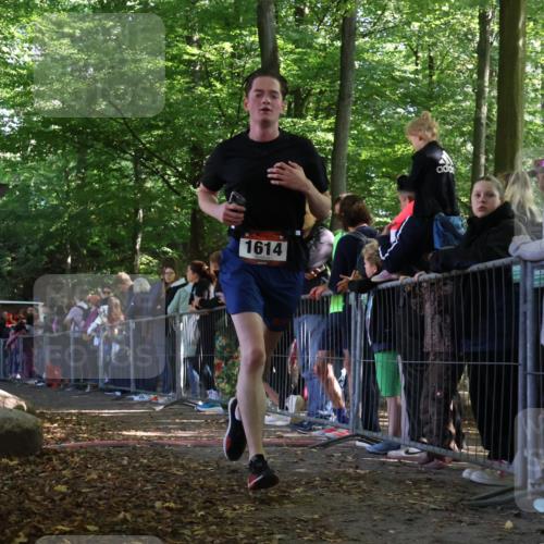 28.09.2025 - 33. Volkslauf durch das schöne Alstertal Strokosch-Dieckow http://msf.ph/oto/8969689 28.09.2025 11:50:25 Ziel 1614, 2389 meine-sportfotos.de