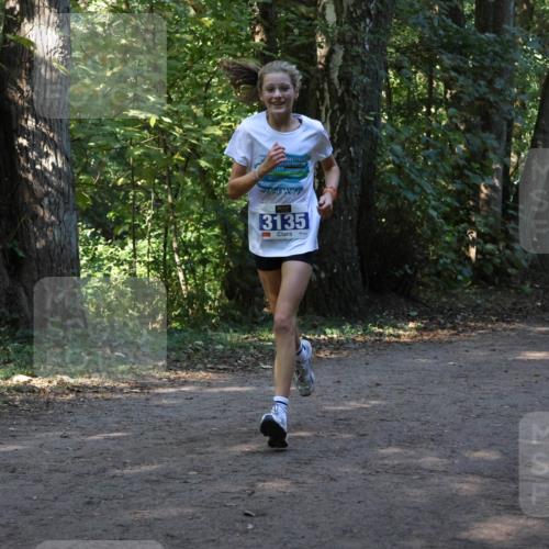28.09.2025 - 33. Volkslauf durch das schöne Alstertal Strokosch-Dieckow http://msf.ph/oto/8969693 28.09.2025 11:33:51 Laufen 3135 meine-sportfotos.de