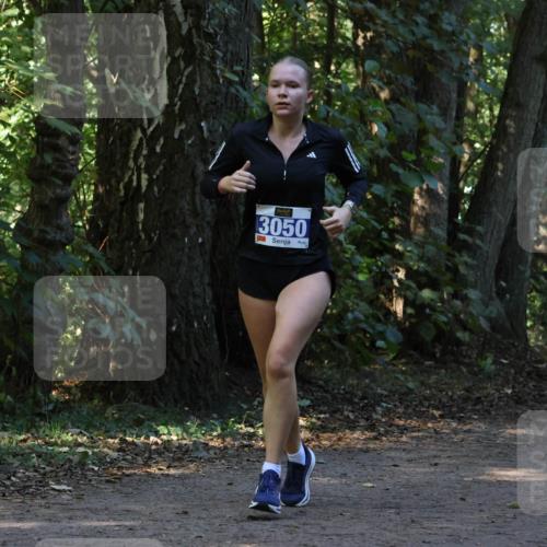 28.09.2025 - 33. Volkslauf durch das schöne Alstertal Strokosch-Dieckow http://msf.ph/oto/8969698 28.09.2025 11:34:05 Laufen 3050 meine-sportfotos.de