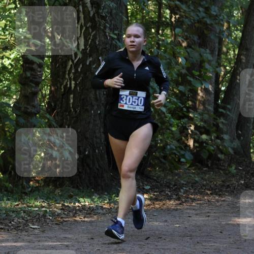 28.09.2025 - 33. Volkslauf durch das schöne Alstertal Strokosch-Dieckow http://msf.ph/oto/8969699 28.09.2025 11:34:05 Laufen 3050 meine-sportfotos.de