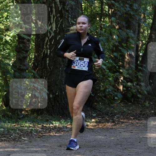 28.09.2025 - 33. Volkslauf durch das schöne Alstertal Strokosch-Dieckow http://msf.ph/oto/8969700 28.09.2025 11:34:05 Laufen 3050 meine-sportfotos.de