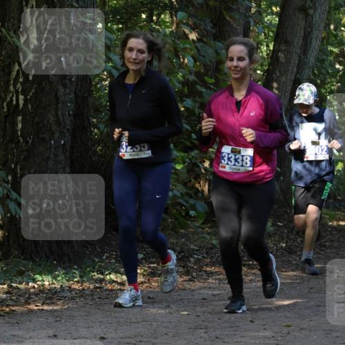 28.09.2025 - 33. Volkslauf durch das schöne Alstertal Strokosch-Dieckow http://msf.ph/oto/8969713 28.09.2025 11:34:35 Laufen 5, 3338, 402, 3401 meine-sportfotos.de