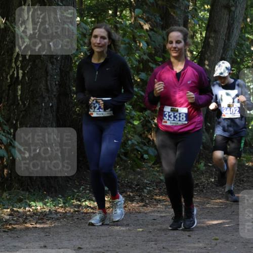 28.09.2025 - 33. Volkslauf durch das schöne Alstertal Strokosch-Dieckow http://msf.ph/oto/8969714 28.09.2025 11:34:35 Laufen 323, 3338, 3402, 3401 meine-sportfotos.de