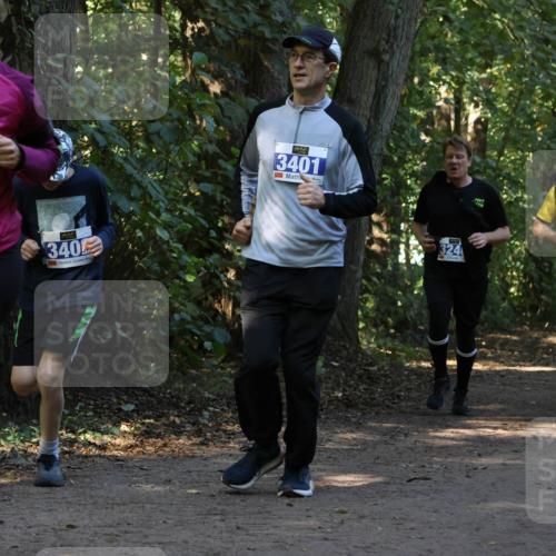 28.09.2025 - 33. Volkslauf durch das schöne Alstertal Strokosch-Dieckow http://msf.ph/oto/8969716 28.09.2025 11:34:37 Laufen 3338, 340, 3401, 3239, 324 meine-sportfotos.de