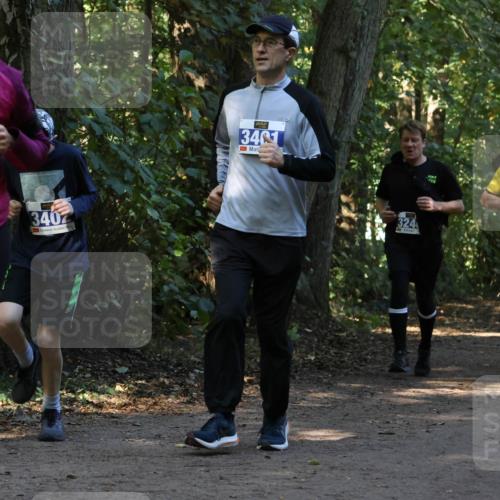 28.09.2025 - 33. Volkslauf durch das schöne Alstertal Strokosch-Dieckow http://msf.ph/oto/8969717 28.09.2025 11:34:37 Laufen 3338, 340, 3401, 324, 3239 meine-sportfotos.de