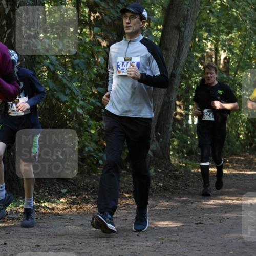 28.09.2025 - 33. Volkslauf durch das schöne Alstertal Strokosch-Dieckow http://msf.ph/oto/8969718 28.09.2025 11:34:37 Laufen 3338, 34, 346, 324, 3239 meine-sportfotos.de