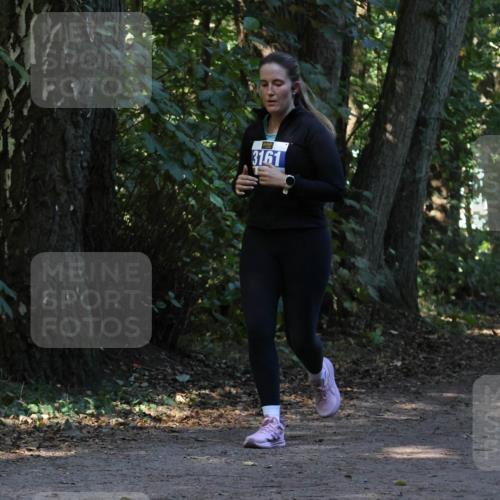 28.09.2025 - 33. Volkslauf durch das schöne Alstertal Strokosch-Dieckow http://msf.ph/oto/8969723 28.09.2025 11:34:55 Laufen 3161 meine-sportfotos.de