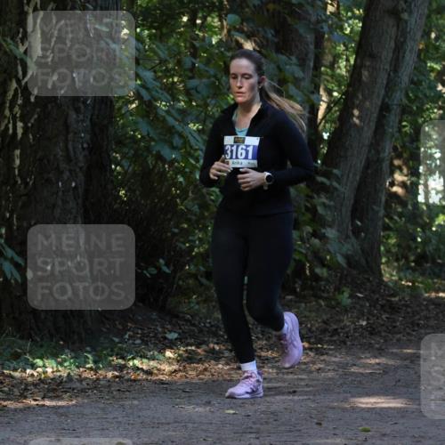 28.09.2025 - 33. Volkslauf durch das schöne Alstertal Strokosch-Dieckow http://msf.ph/oto/8969724 28.09.2025 11:34:55 Laufen 3161 meine-sportfotos.de