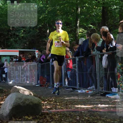 28.09.2025 - 33. Volkslauf durch das schöne Alstertal Strokosch-Dieckow http://msf.ph/oto/8969729 28.09.2025 11:50:32 Ziel 2389 meine-sportfotos.de