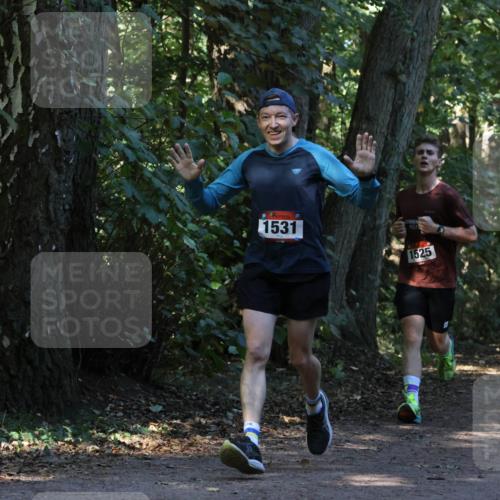 28.09.2025 - 33. Volkslauf durch das schöne Alstertal Strokosch-Dieckow http://msf.ph/oto/8969734 28.09.2025 11:35:03 Laufen 1531, 1525 meine-sportfotos.de