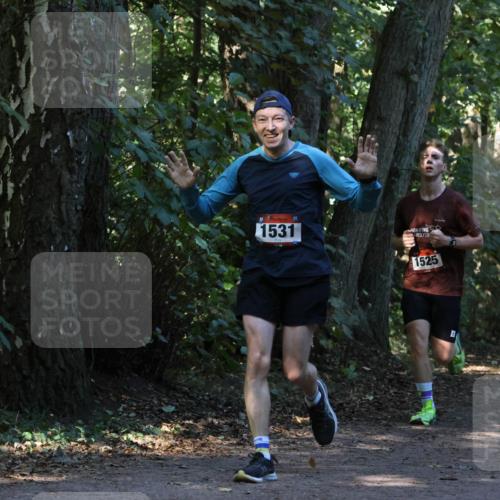 28.09.2025 - 33. Volkslauf durch das schöne Alstertal Strokosch-Dieckow http://msf.ph/oto/8969735 28.09.2025 11:35:03 Laufen 1531, 1525 meine-sportfotos.de