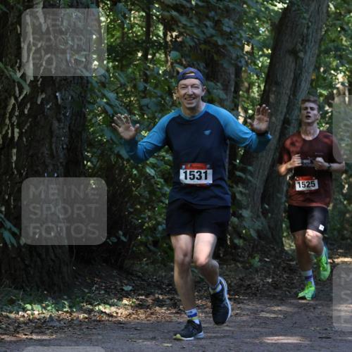 28.09.2025 - 33. Volkslauf durch das schöne Alstertal Strokosch-Dieckow http://msf.ph/oto/8969736 28.09.2025 11:35:03 Laufen 1531, 1525 meine-sportfotos.de