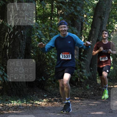 28.09.2025 - 33. Volkslauf durch das schöne Alstertal Strokosch-Dieckow http://msf.ph/oto/8969737 28.09.2025 11:35:03 Laufen 1531, 1525 meine-sportfotos.de