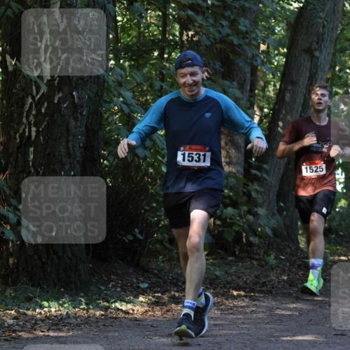 28.09.2025 - 33. Volkslauf durch das schöne Alstertal Strokosch-Dieckow http://msf.ph/oto/8969738 28.09.2025 11:35:03 Laufen 1531, 1525 meine-sportfotos.de