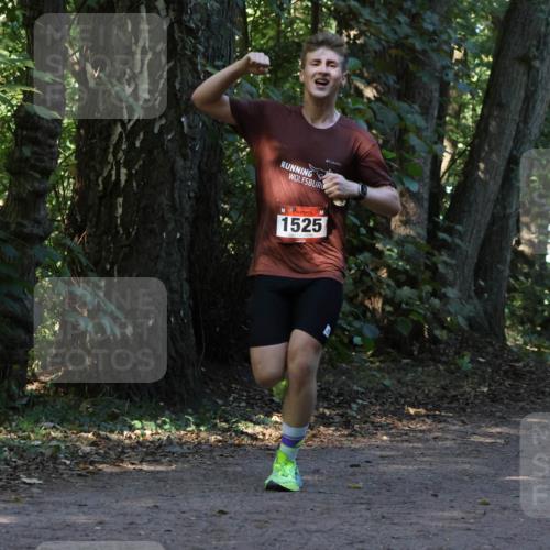 28.09.2025 - 33. Volkslauf durch das schöne Alstertal Strokosch-Dieckow http://msf.ph/oto/8969740 28.09.2025 11:35:05 Laufen 1525 meine-sportfotos.de