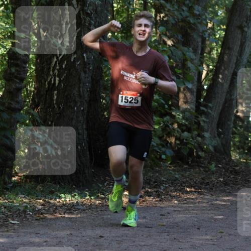 28.09.2025 - 33. Volkslauf durch das schöne Alstertal Strokosch-Dieckow http://msf.ph/oto/8969741 28.09.2025 11:35:05 Laufen 1525 meine-sportfotos.de