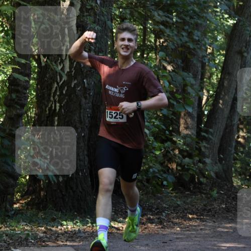 28.09.2025 - 33. Volkslauf durch das schöne Alstertal Strokosch-Dieckow http://msf.ph/oto/8969743 28.09.2025 11:35:05 Laufen 1525 meine-sportfotos.de