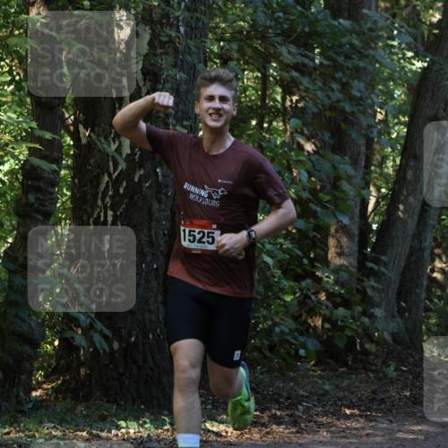28.09.2025 - 33. Volkslauf durch das schöne Alstertal Strokosch-Dieckow http://msf.ph/oto/8969744 28.09.2025 11:35:05 Laufen 1525 meine-sportfotos.de