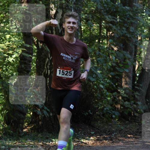 28.09.2025 - 33. Volkslauf durch das schöne Alstertal Strokosch-Dieckow http://msf.ph/oto/8969749 28.09.2025 11:35:05 Laufen 1525 meine-sportfotos.de