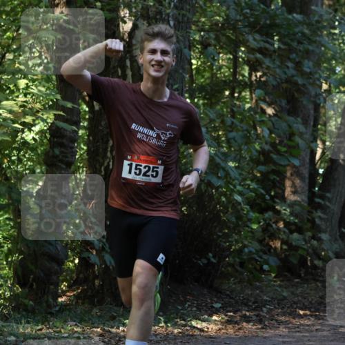 28.09.2025 - 33. Volkslauf durch das schöne Alstertal Strokosch-Dieckow http://msf.ph/oto/8969750 28.09.2025 11:35:05 Laufen 1525 meine-sportfotos.de