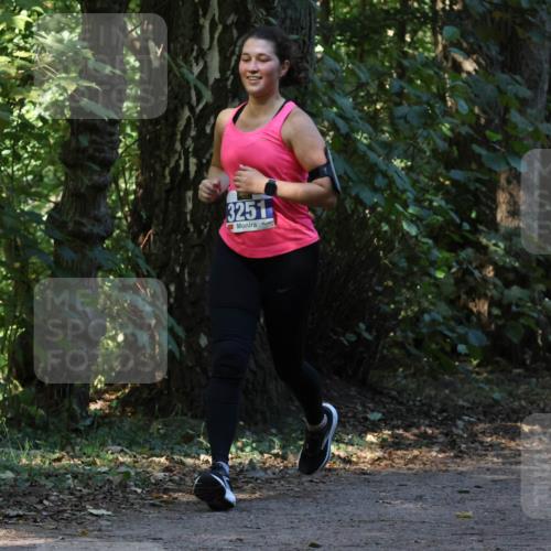 28.09.2025 - 33. Volkslauf durch das schöne Alstertal Strokosch-Dieckow http://msf.ph/oto/8969755 28.09.2025 11:35:13 Laufen 3251, 3252 meine-sportfotos.de