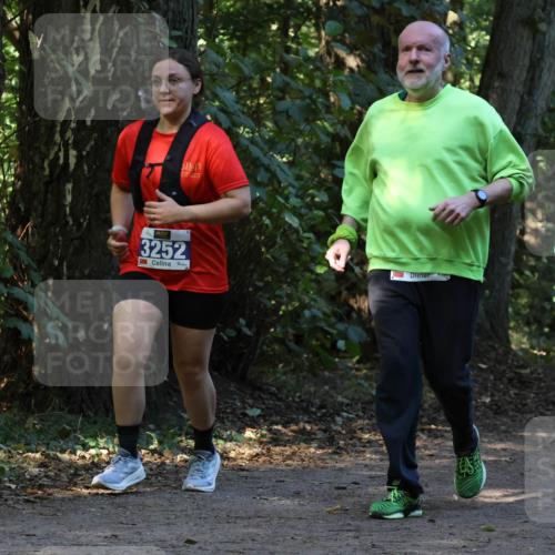 28.09.2025 - 33. Volkslauf durch das schöne Alstertal Strokosch-Dieckow http://msf.ph/oto/8969759 28.09.2025 11:35:15 Laufen 3252 meine-sportfotos.de