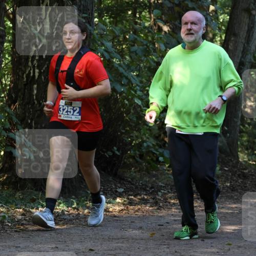 28.09.2025 - 33. Volkslauf durch das schöne Alstertal Strokosch-Dieckow http://msf.ph/oto/8969760 28.09.2025 11:35:15 Laufen 3252 meine-sportfotos.de