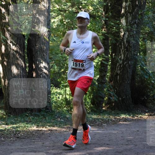 28.09.2025 - 33. Volkslauf durch das schöne Alstertal Strokosch-Dieckow http://msf.ph/oto/8969761 28.09.2025 11:35:23 Laufen 1519, 3204 meine-sportfotos.de