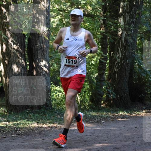 28.09.2025 - 33. Volkslauf durch das schöne Alstertal Strokosch-Dieckow http://msf.ph/oto/8969762 28.09.2025 11:35:23 Laufen 1519, 3204 meine-sportfotos.de
