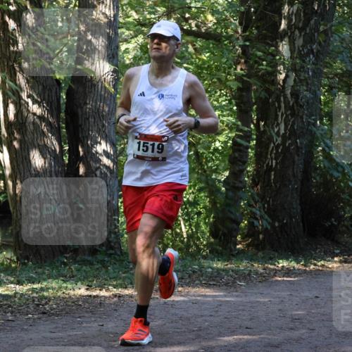 28.09.2025 - 33. Volkslauf durch das schöne Alstertal Strokosch-Dieckow http://msf.ph/oto/8969764 28.09.2025 11:35:23 Laufen 1519, 3204 meine-sportfotos.de
