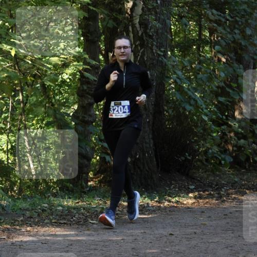 28.09.2025 - 33. Volkslauf durch das schöne Alstertal Strokosch-Dieckow http://msf.ph/oto/8969766 28.09.2025 11:35:24 Laufen 3204, 1543 meine-sportfotos.de