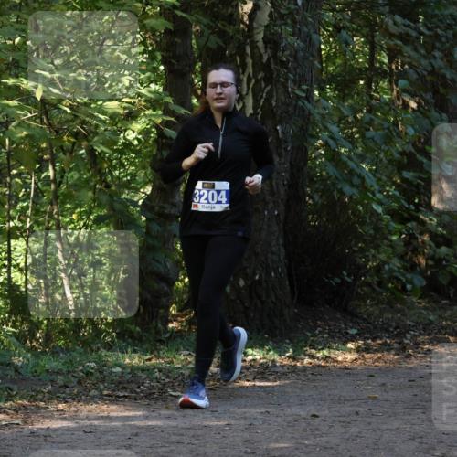 28.09.2025 - 33. Volkslauf durch das schöne Alstertal Strokosch-Dieckow http://msf.ph/oto/8969767 28.09.2025 11:35:24 Laufen 3204, 1543 meine-sportfotos.de