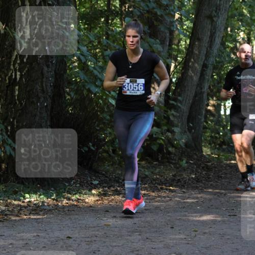 28.09.2025 - 33. Volkslauf durch das schöne Alstertal Strokosch-Dieckow http://msf.ph/oto/8969771 28.09.2025 11:35:33 Laufen 3056, 3123, 1313 meine-sportfotos.de