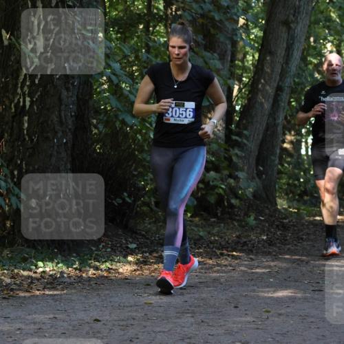 28.09.2025 - 33. Volkslauf durch das schöne Alstertal Strokosch-Dieckow http://msf.ph/oto/8969772 28.09.2025 11:35:33 Laufen 3056, 3123, 31 meine-sportfotos.de