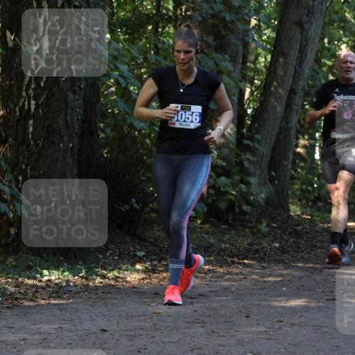28.09.2025 - 33. Volkslauf durch das schöne Alstertal Strokosch-Dieckow http://msf.ph/oto/8969773 28.09.2025 11:35:33 Laufen 3056, 3123 meine-sportfotos.de